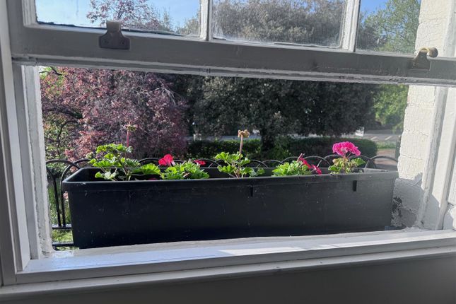 Window Box.Jpg