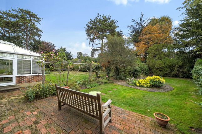 Ravenshill, Chislehurst photo 4