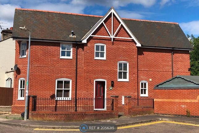 Thumbnail Detached house to rent in Spurgeon Street, Colchester