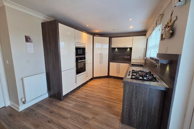 Gilchrist Walk, Lesmahagow, South Lanarkshire, ML11 0FQ, South Lanarkshire photo 3