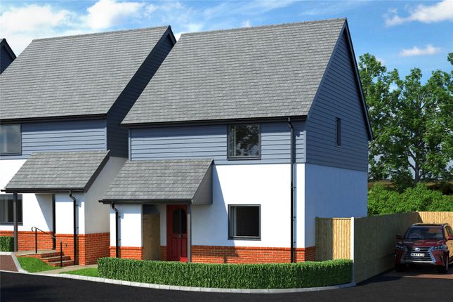 Thumbnail Detached house for sale in The Beeches, Budleigh Salterton, Devon