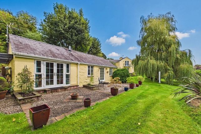 Tyddyn Sydney Farm, Tyn Lon, Bangor photo 2