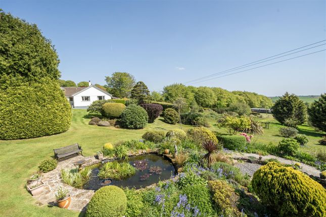 Aqua Lee, Callington photo 2