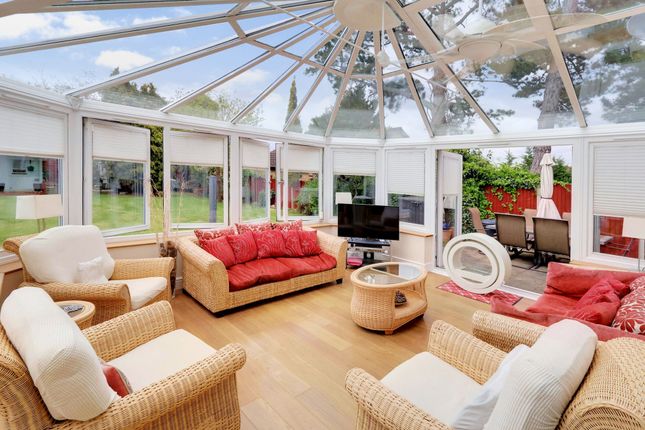 123a The Glade, Croydon photo 4