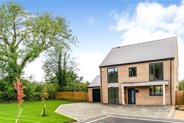 Thumbnail Detached house for sale in Paddock View, Hollins Lane, Hampsthwaite, Nr Harrogate, North Yorkshire