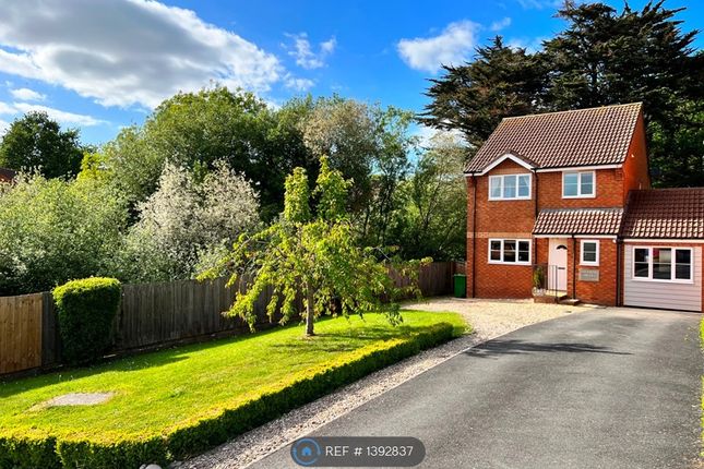 Thumbnail Detached house to rent in Byron Way, Exmouth