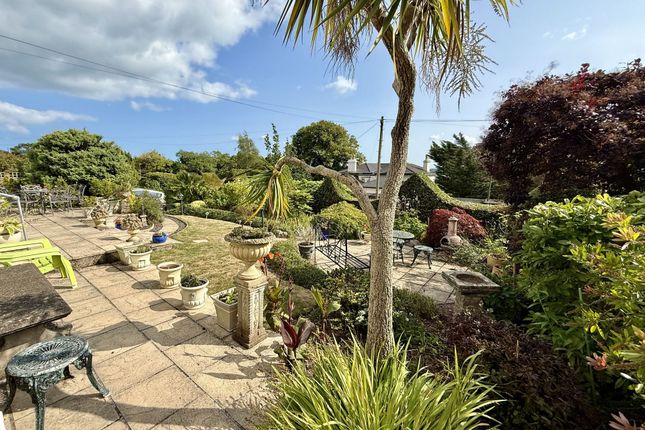 Quay Tor, Torquay photo 3