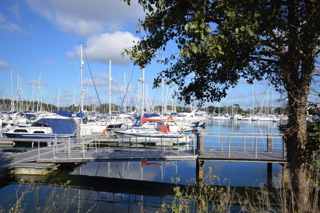 10 The Salterns, Chichester Marina, Chichester photo 3