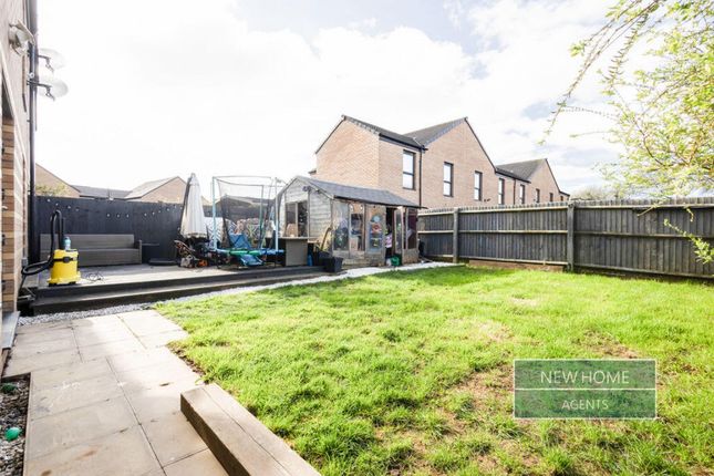 16, Willowbrook Street, Cardiff photo 3