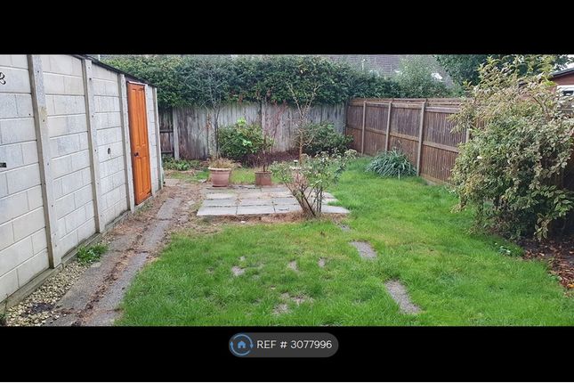 Hatfield photo 4
