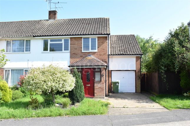 Thumbnail Semi-detached house to rent in Ravensdale, Basildon, Essex