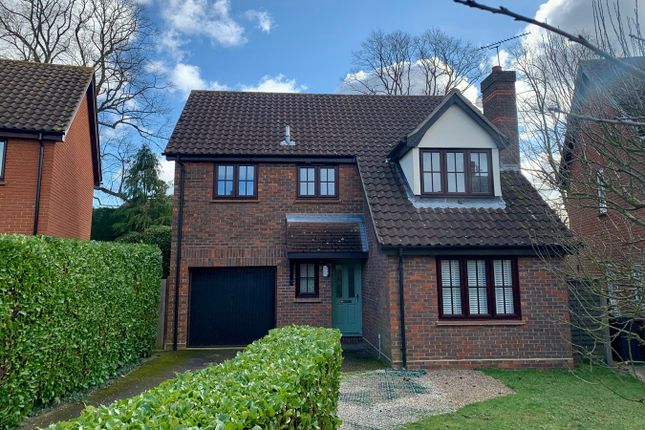 Thumbnail Detached house for sale in Lichfield Close, Chelmsford