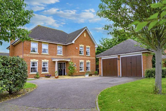 Thumbnail Detached house for sale in Bayham Close, Elstow, Beds