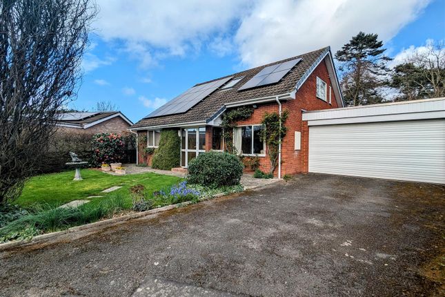 Thumbnail Detached bungalow for sale in Helensdale Close, Hereford