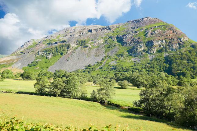 Additional Photograph Of Landscape