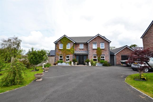 Thumbnail Detached house for sale in Maesglasnant, Carmarthen