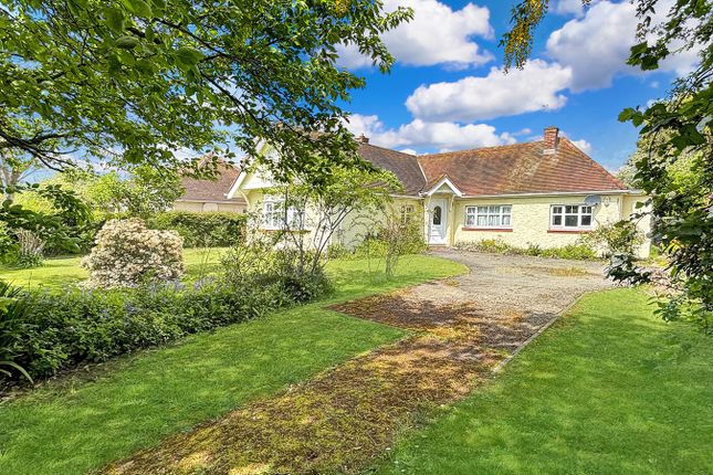 Thumbnail Detached bungalow for sale in Colchester Road, Elmstead, Colchester