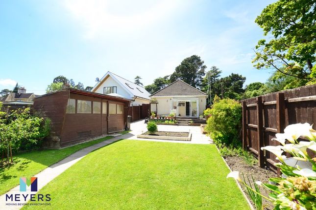 Thumbnail Bungalow for sale in Blandford Road, Hamworthy, Poole