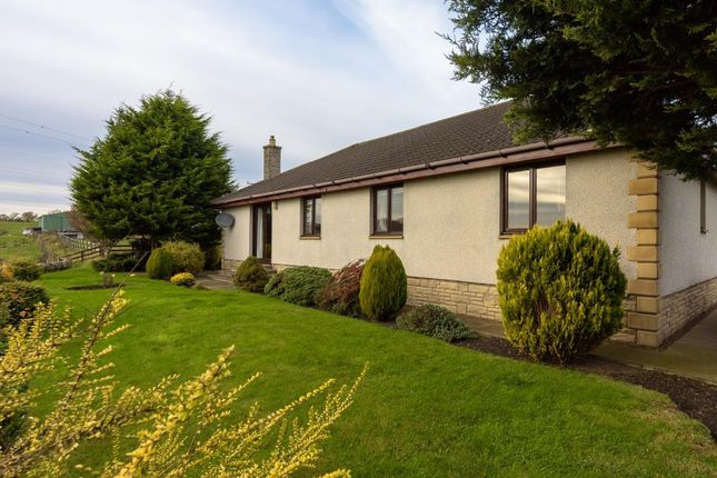 Elphinstone East Lothian Homes For Sale Elphinstone East Lothian Homes For Sale