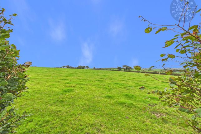 63, Trelawny Road, Liskeard photo 3