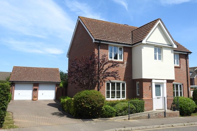 Thumbnail Detached house to rent in Civray Avenue, Downham Market