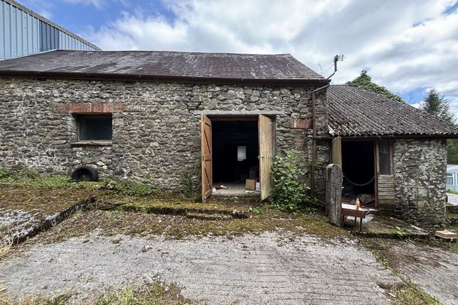 Coed Hirion, Talley, Llandeilo photo 4