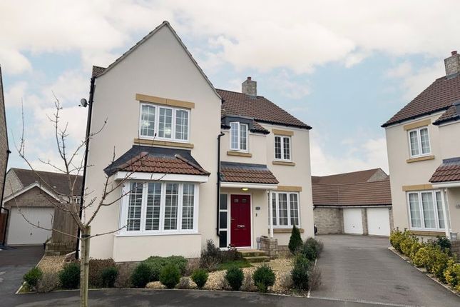Thumbnail Detached house for sale in Pearmain Road, Somerton