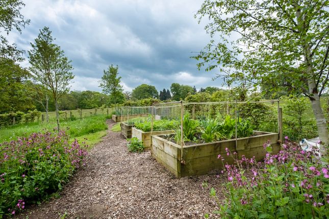 Detached house for sale in The Old Lodge, Hamsterley Hall, Hamsterley Mill, Rowlands Gill, County Durham