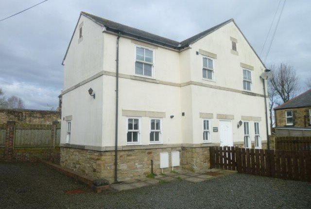 Thumbnail Detached house to rent in The Avenue, Alnwick