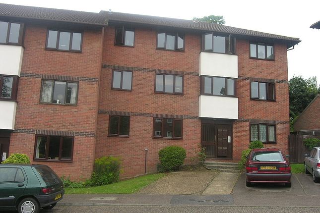 Property to rent in Oakstead Close, Ipswich