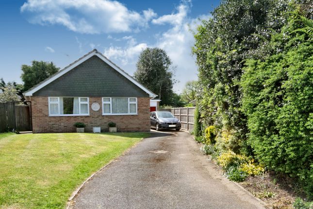 Thumbnail Detached bungalow to rent in Post House Lane, Great Bookham