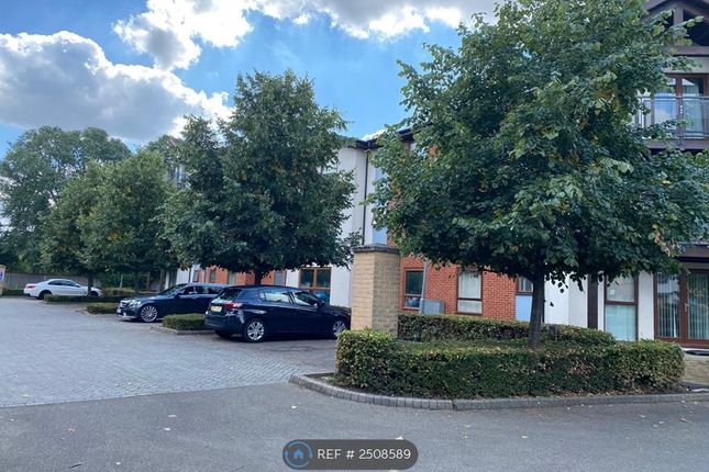 Car Park And Grounds