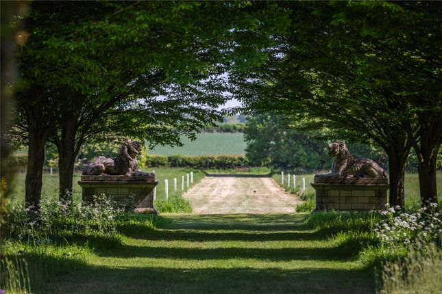 Grounds