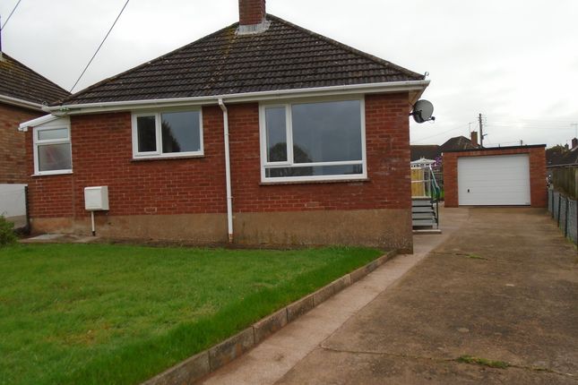 Thumbnail Detached bungalow to rent in Elmfield Crescent, Exmouth