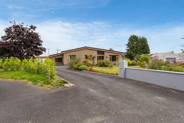 64 Drumaness Road, Ballynahinch 30.Jpg
