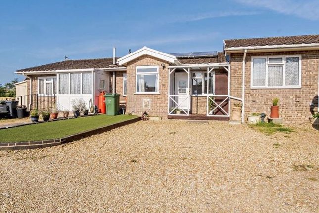 Thumbnail Bungalow to rent in Ashey Park, Ashey Road, Ryde