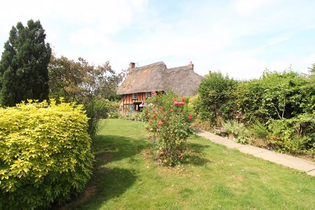Thumbnail Detached house for sale in Middle Street, Great Gransden