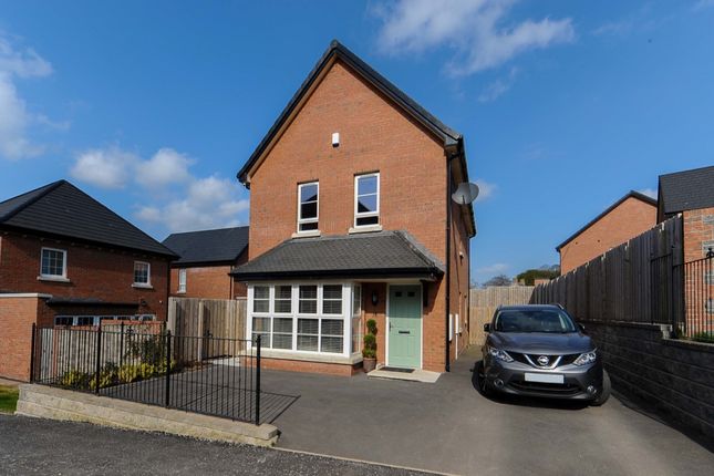 Thumbnail Detached house to rent in Millmount Village Square, Dundonald, Belfast