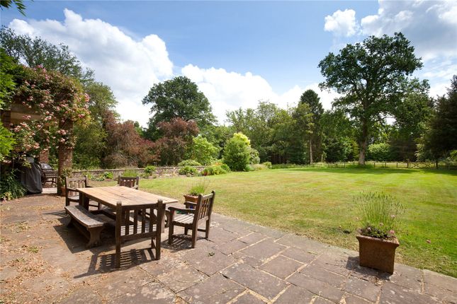 Rear Terrace