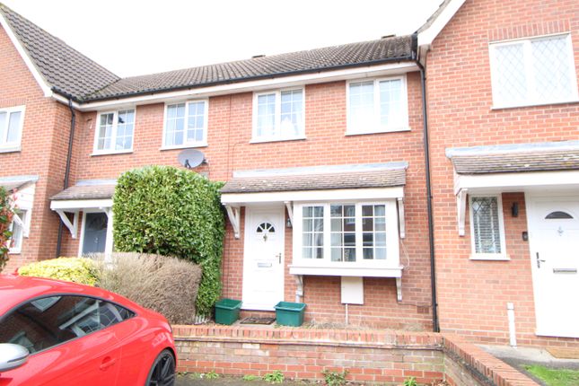 Thumbnail Terraced house to rent in Hunters Ridge, Highwoods, Colchester