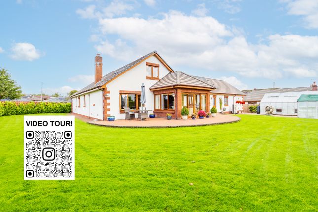 Rear View - Qr