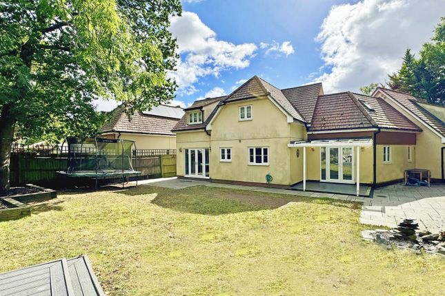 Snowdrop, London Road, Great Notley, Braintree photo 2