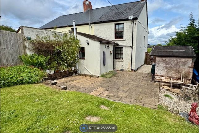 Garden And Rear Of Property