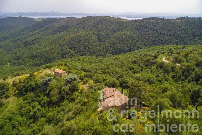 Country house for sale in Italy, Umbria, Perugia, Lisciano Niccone
