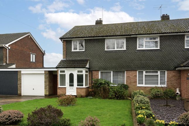 Thumbnail Semi-detached house for sale in Fir Tree Close, Leverstock Green, Hertfordshire