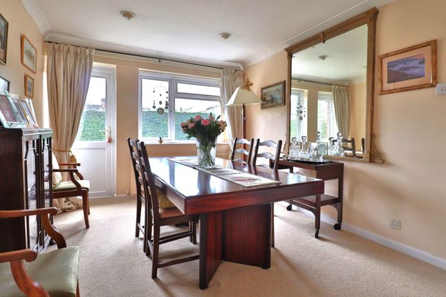 8, The Garlings, Marlborough photo 4