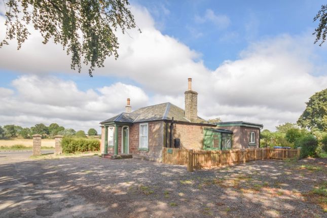 Middleton, Arbroath, Angus, DD11 4SD, Angus photo 2