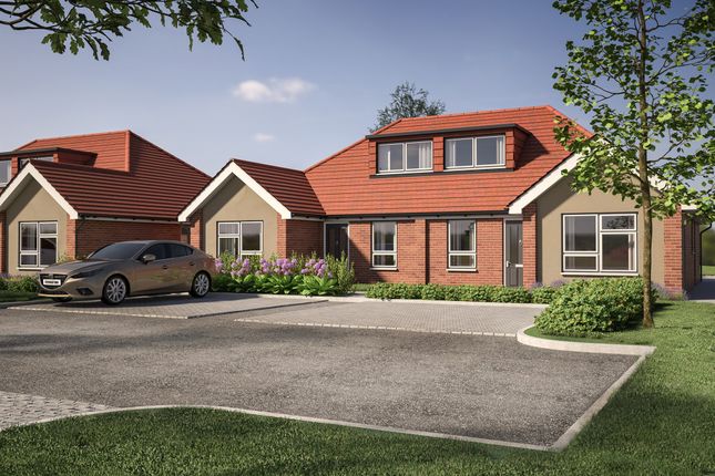 Semi-detached bungalow for sale in St. Lukes Close, Luton