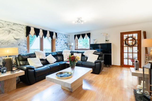 Ardanach, Annfield, Cupar photo 4