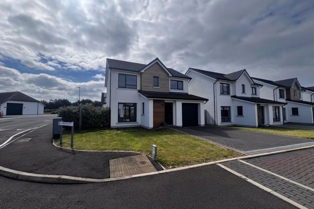 Thumbnail Detached house to rent in Carnane View, Ballakilley, Port St. Mary